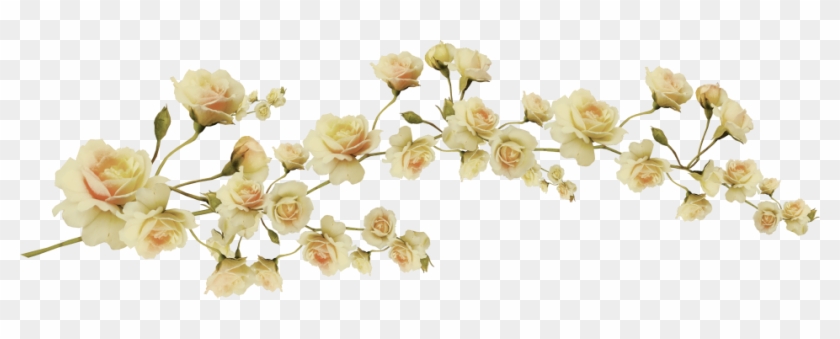 1000 Images About Png Series - Aesthetic Flower Transparent