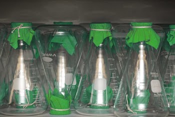 1000 Ml Flasks