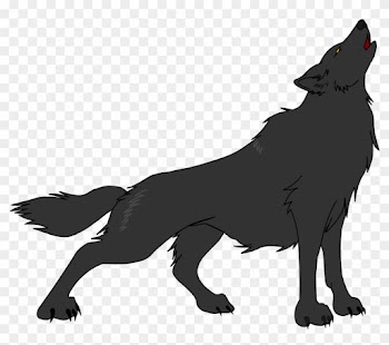 1024 X 731 17 - Wolf Design Transparent