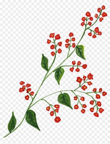 1039 × 1408 Px - Leaf Paint Png