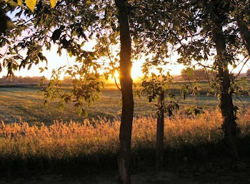 107_0797a.jpg