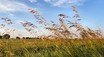 108_0827a.jpg