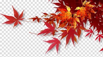 1080p Widescreen WUXGA Wide XGA, others transparent background PNG clipart