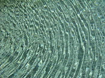 109404207719.jpg