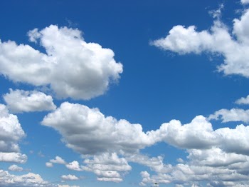 109832831825.jpg
