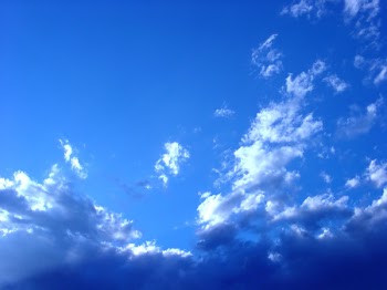 1102727133-15019.jpg