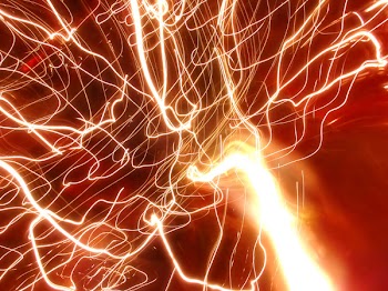 1103414264-1567.jpg