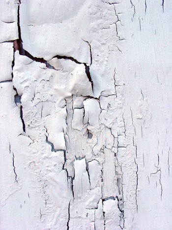 1104607636-15023.jpg