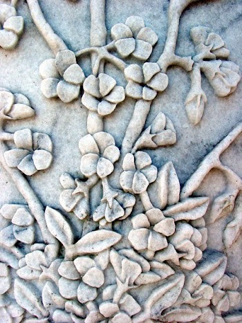 1104715516-2910.jpg