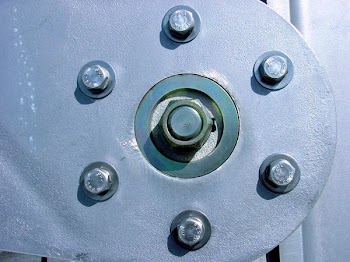 110583244446.jpg