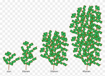 1113763508, Photo - Money Tree Growth Rate