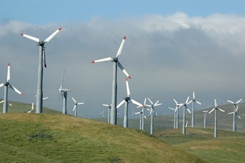 11150775901.jpg
