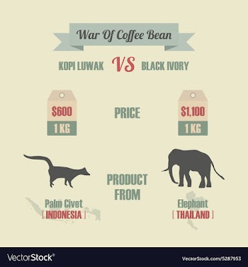 111expensive coffee vector image