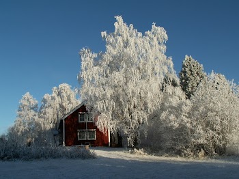113026988615.jpg