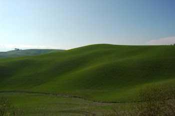 114434882228.jpg