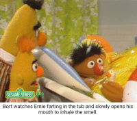 12 SESAME STREET Bort Watches Ernie Farting in the Tub and Slowly ...
