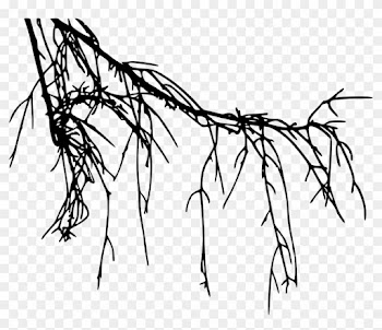 12 Tree Branch Silhouette Vol - Tree