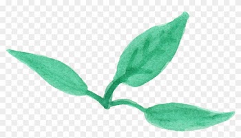 12 Watercolor Leaf Png Transparent Vol 2 Onlygfxcom - Honeysuckle