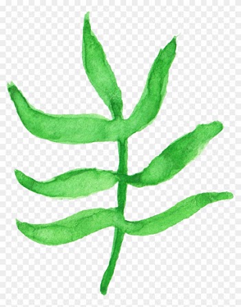 12 Watercolor Leaf Vol - Illustration
