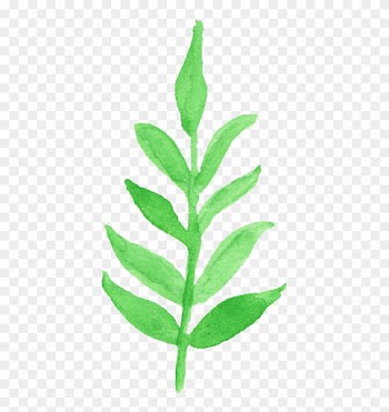 12 Watercolor - Watercolor Leaf Transparent