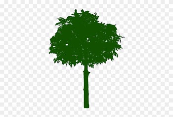 1205 Free Clipart Bare Tree Branches Public Domain - 1205 Free Clipart Bare Tree Branches Public Domain
