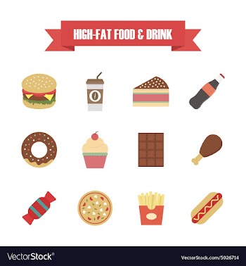 121hi fat food white vector image