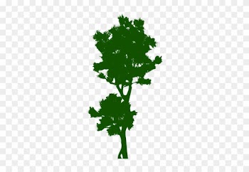 1253 Free Clipart Bare Tree Branches Public Domain - Tree
