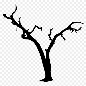 1269 × 1200 Px - Spooky Tree Silhouette