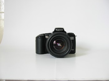 129-2944_IMG.JPG