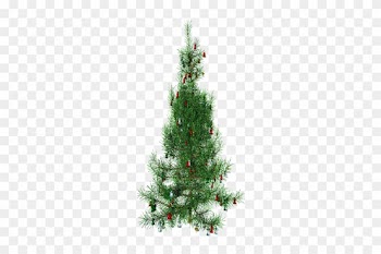 13 Oct 2014 - Christmas Tree Clip Art