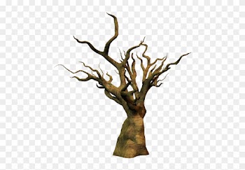 13 Oct 2014 - Dead Tree Png