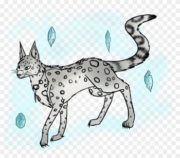 135 Best Tanidareal Images On Mzayat - Gray Wolf