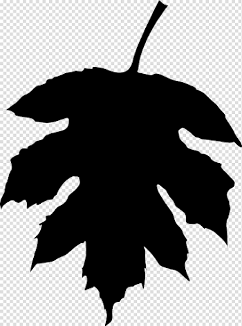 15 Leaf silhouette png for free download on mbtskoudsalg