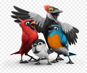 15 Of The Most Beautiful Birds In World Nature Babamail - Moving Animated Pictures Of Birds