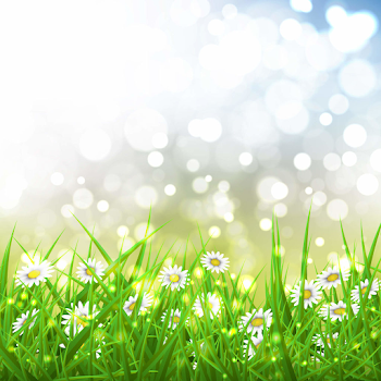 15 of the Very Best FREE Nature Backgrounds for Use on Your Website