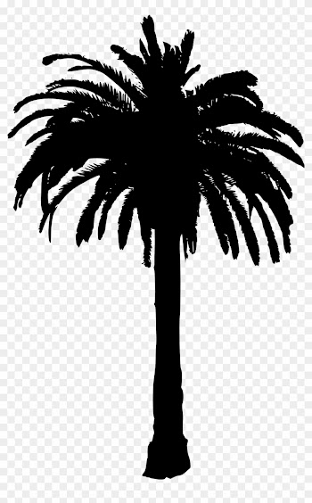 15 Palm Tree Silhouettes Png Transparent Background - Palm Tree Silhouette Png