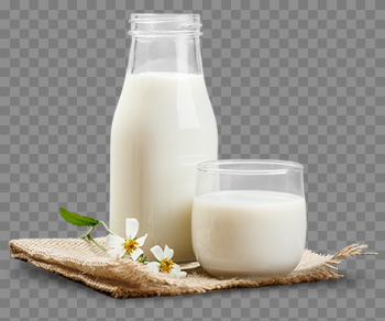 15 Png milk for free download on mbtskoudsalg