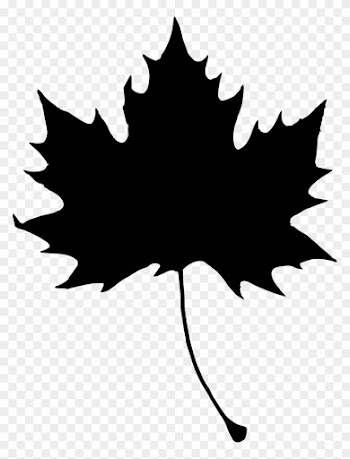 1522 × 2000 Px - Maple Leaf