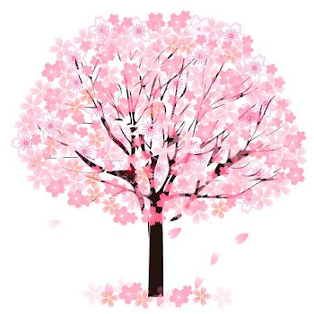 16,502 Cherry Blossom Tree Stock Illustrations, Cliparts And ...