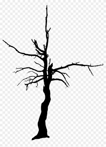 17 Dead Tree Silhouette - Dead Tree Transparent