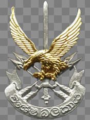 175px-SLA_SF_crest.png
