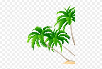 1800 Central Commerce Court - High Resolution Coconut Tree Leaf Vector