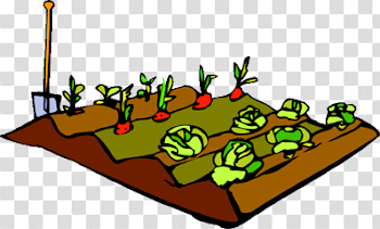 19 Row clip art transparent garden row HUGE FREEBIE! Download for ...