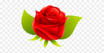 1974 Yılında İzmir'in Ödemiş Ilçesinde 800 M² Alanda - Garden Roses