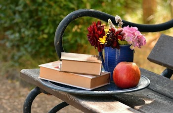 2 Books on Top of Each Other Beside Red Apple Fruit