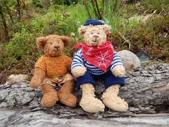 2 Brown Teddy Bear
