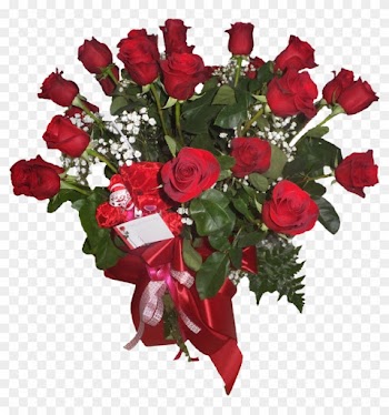 2 Dozen Red Roses In A Vase - Beautiful Red Rose Flower