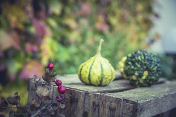 2 Green Fruit on Wooden Table Near Pink Small Fruit during Daytime
