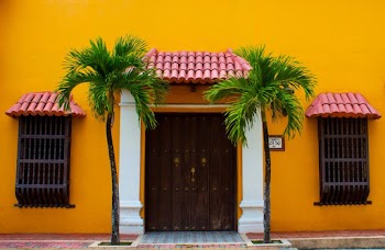 2 Green Palm Trees Beside Wooden Door