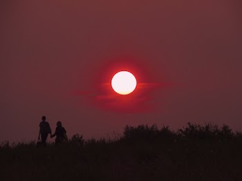 2 Person Walking Hand in Hand during Sunset